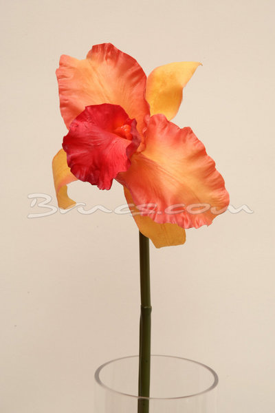 422EA556