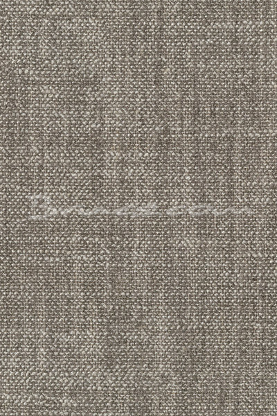 557TG038