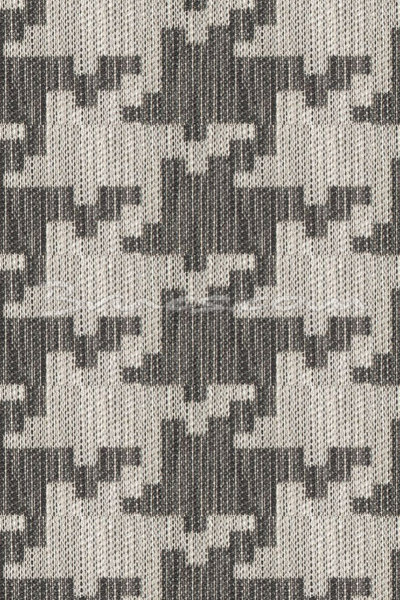 557TG146